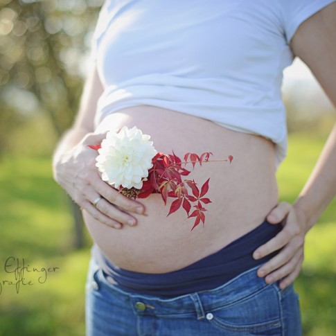 Schwangerschaftsfotos Wetteraukreis, Babybauch Fotografin